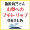 指原莉乃さんプチトリップで行ったハンバーガー屋やホテル情報 まとめ 〜シソンヌ長谷川さん夫妻と山梨へ旅行〜