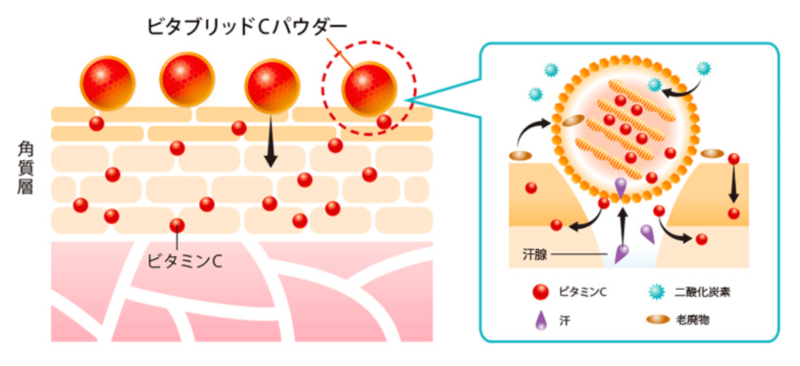 ビタブリッドCフェイス レビュー  特徴・メリット①｜ビタミンCが角質層までぐんぐんしみ込む