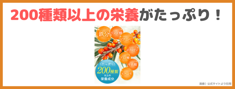 豊潤サジーの特徴・効果・メリット①｜200種類以上の栄養がたっぷり！