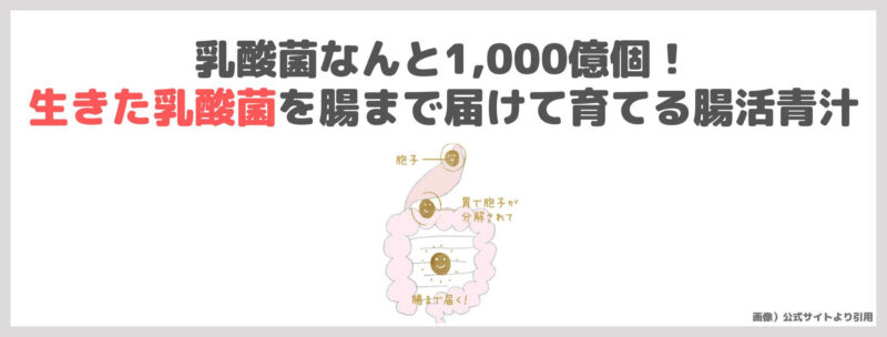 美容家・神崎恵さんの「ほんとうにおいしい青汁」特徴・レビュー・感想・口コミなど〜腸活におすすめ〜