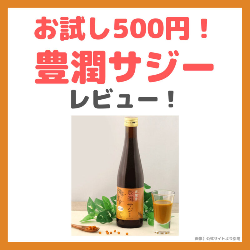 【お試し500円】豊潤サジー レビュー｜特徴・効果・感想・口コミ・評判・メリット・デメリットなど まとめ【サジーの日 お試し特別キャンペーン中！】