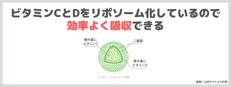 田中みな実さんも飲んでいる「Lypo-C C＋D」レビュー｜ビタミンDが新配合のリポ・カプセル ビタミンC！口コミ・効果・評判・感想・特徴・従来との違いなどまとめ