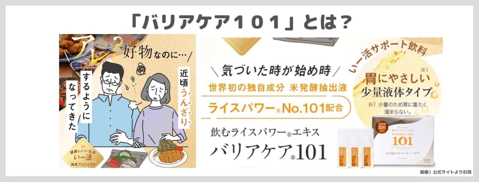 【お試し税込100円】「バリアケア１０１」を飲んでみたレビュー｜飲むライスパワーNo.101がおすすめ！何に良い？口コミ・評判・感想・特徴など