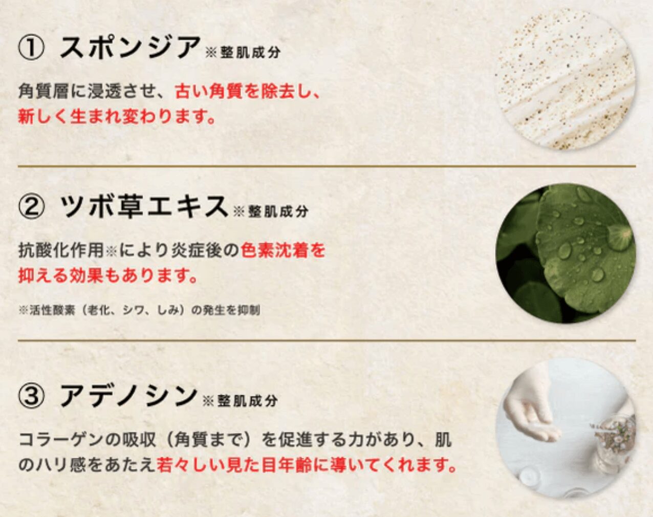 BQCELL ダーマスキンピーリングはどこで売っている？ドンキ・ロフト 
