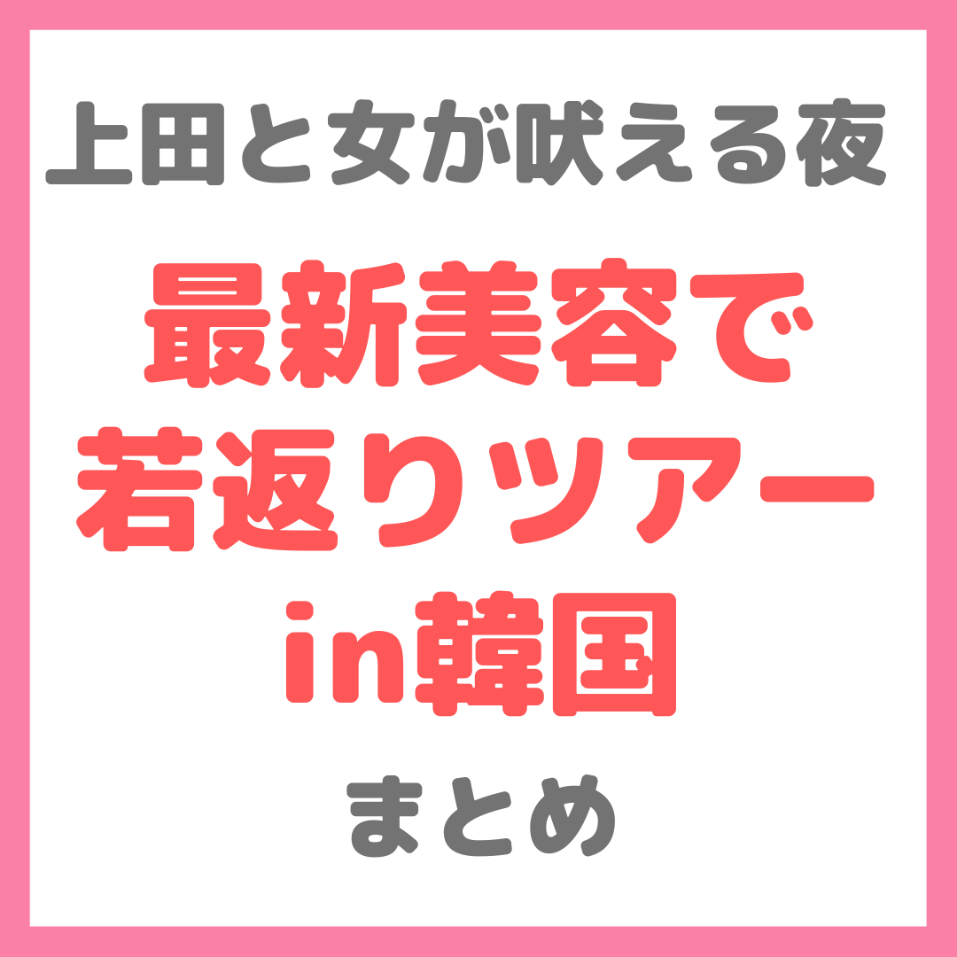 上田と女が吠える夜 最新美容で若返りツアーin韓国 まとめ