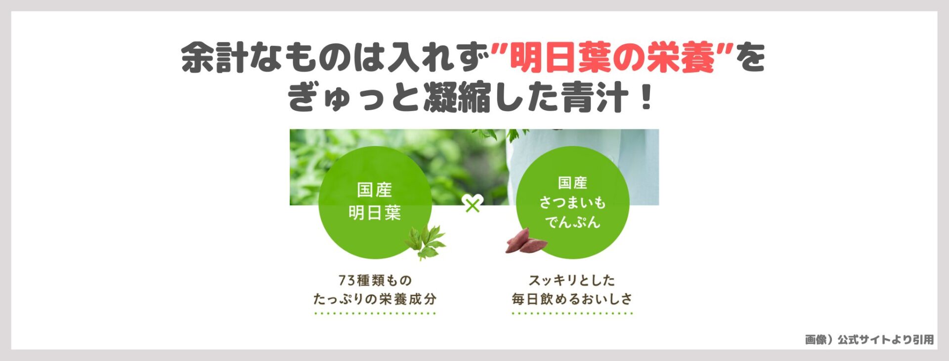 「boco to deco（ボコとデコ）」 の特徴①｜余計なものは入れず”明日葉の栄養”をぎゅっと凝縮した青汁！