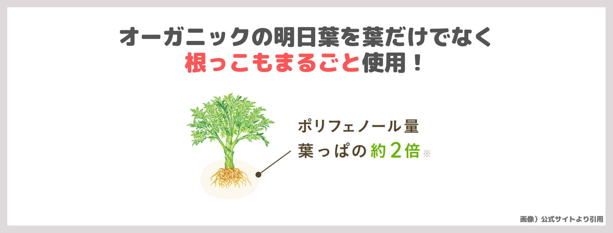 滝沢眞規子さん（タキマキ）おすすめ青汁「boco to deco（ボコとデコ）」の特徴や口コミ！オーガニック明日葉の健康食品