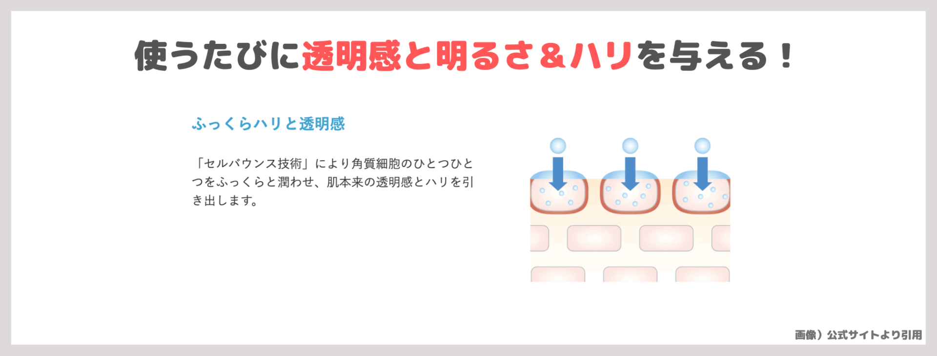 田中みな実さん・小嶋陽菜さんおすすめ「アクセーヌ モイストバランス ローション」使用レビュー＆口コミ｜敏感肌向け潤い化粧水の効果・評判・感想・特徴など