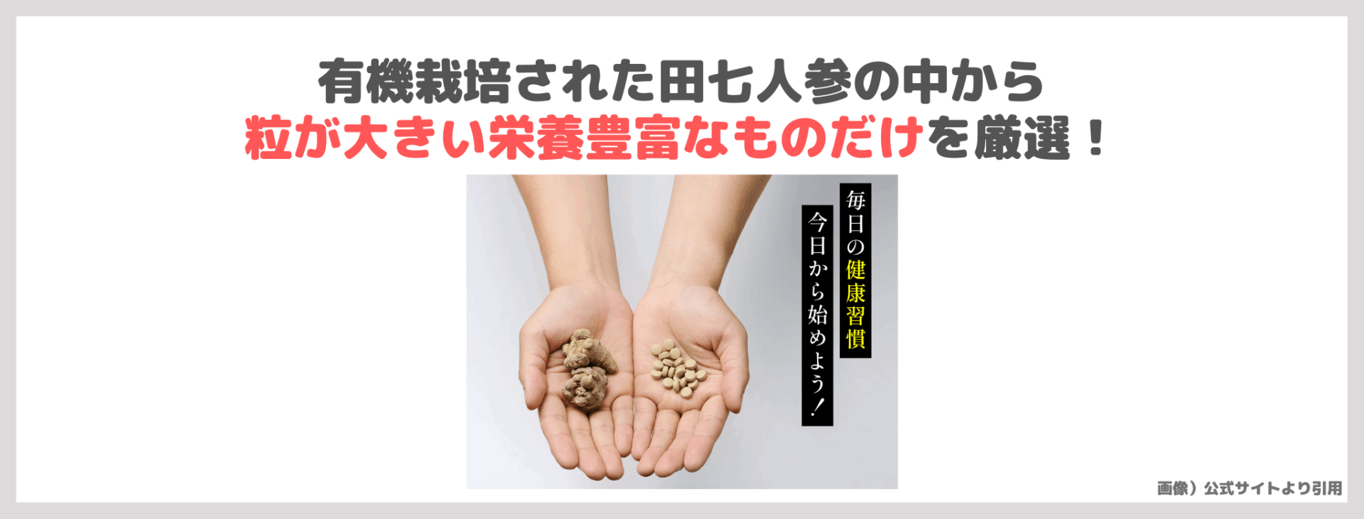 【高麗人参の約7倍のサポニン含有量！】「ゆうき田七人参粒」を飲んでみたレビューや特徴・変化・口コミなどをご紹介！