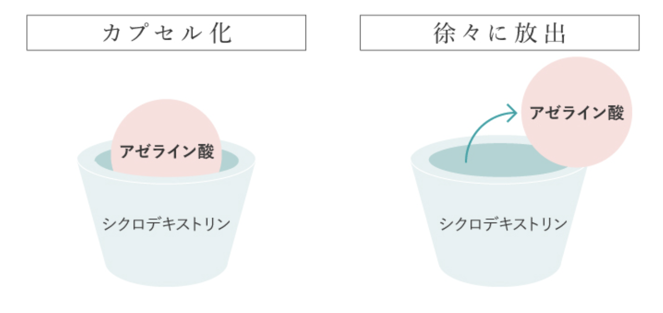 「シェルシュール アドバンストエッセンスAZ」の特徴①｜アゼライン酸のカプセル化により低刺激と長時間持続に成功！