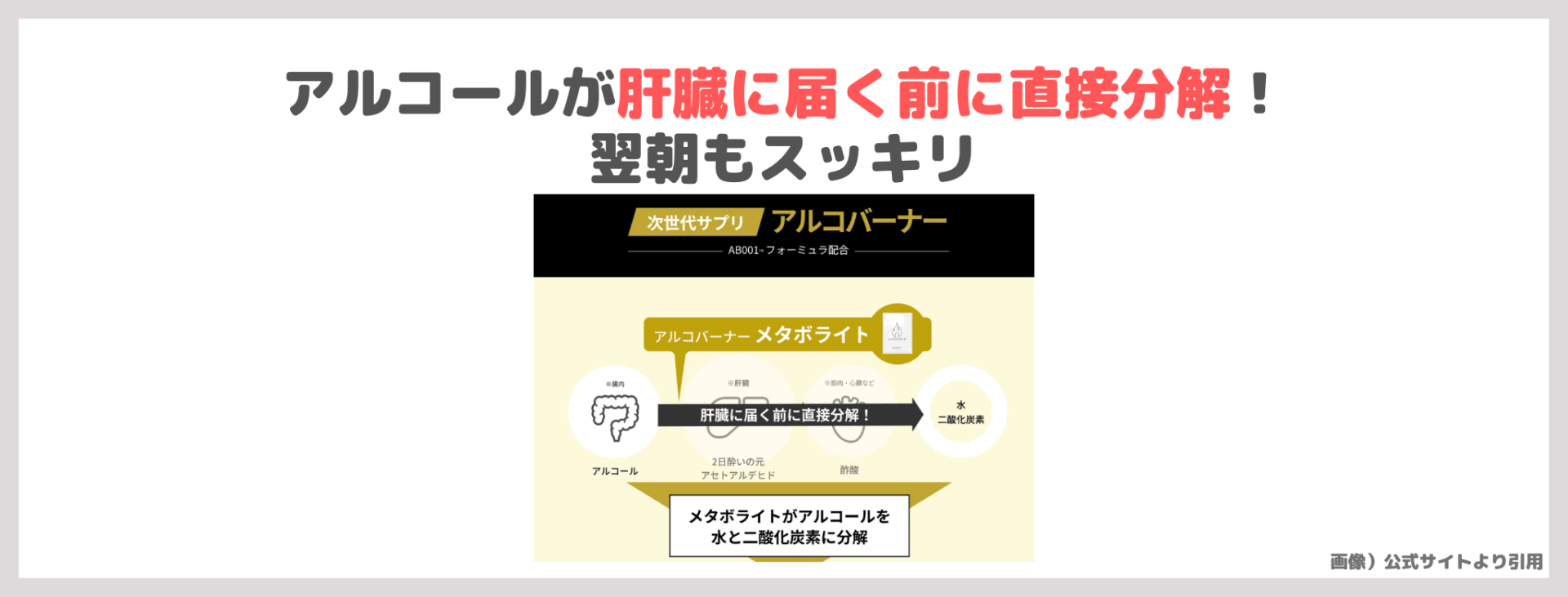 石井美保さん紹介「アルコバーナー（ALCOBUNER）」とは？飲酒前におすすめ！オーガニックサプリの口コミ・評判・感想・特徴など