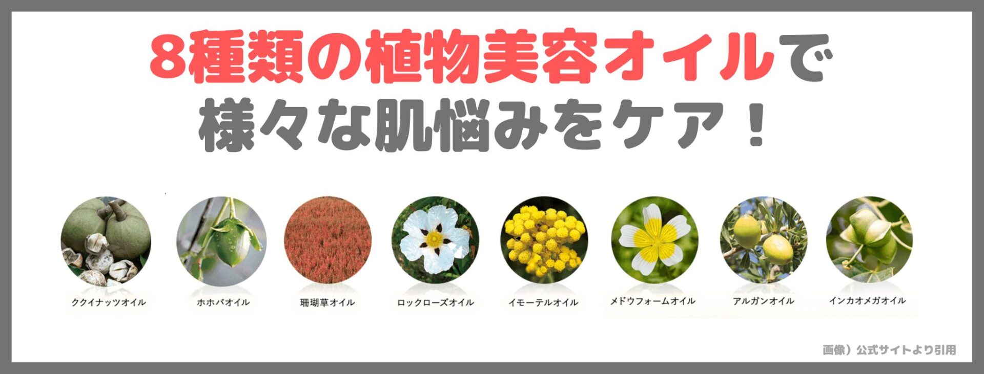 アテニア スキンクリア クレンズ オイルの特長②｜8種類の植物美容オイルで様々な肌悩みをケア！