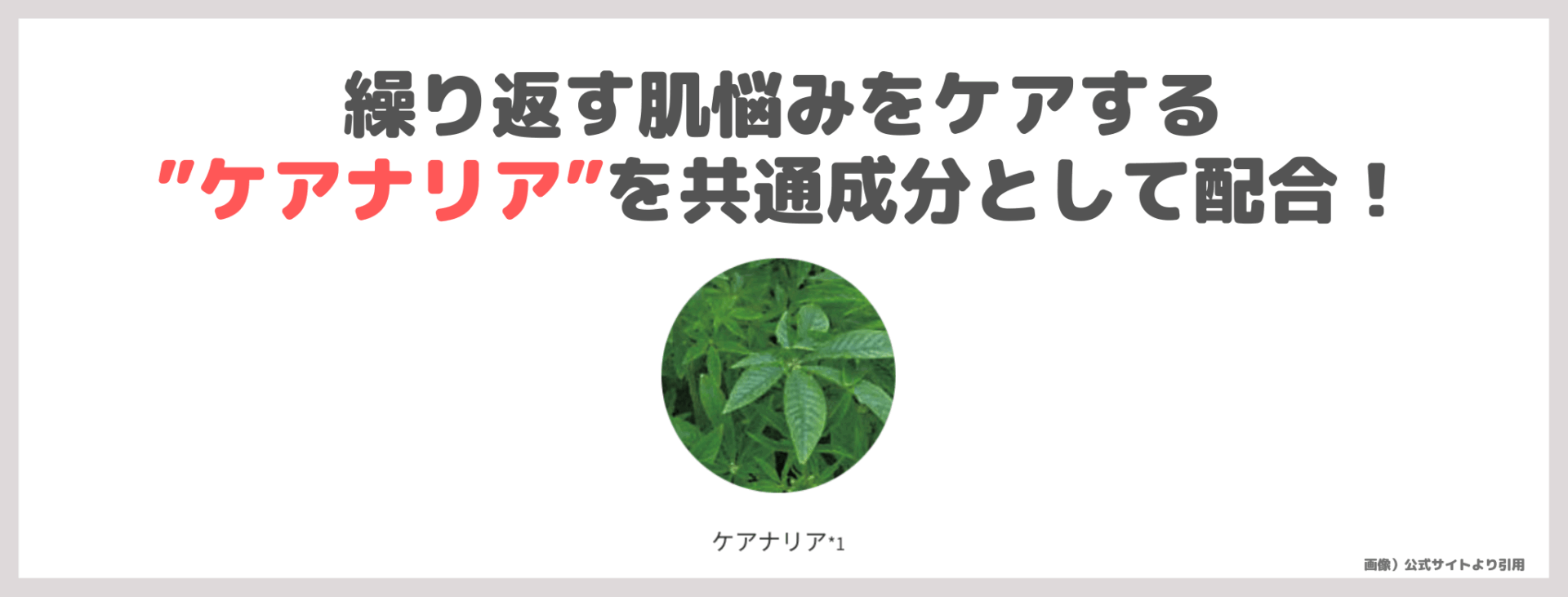 ACNAL（アクナル）ってどう？！実際に使ったレビュー＆口コミ・特徴｜マナラ姉妹ブランドのスキンケアがおすすめ！【トライアル1,500円（税込）】