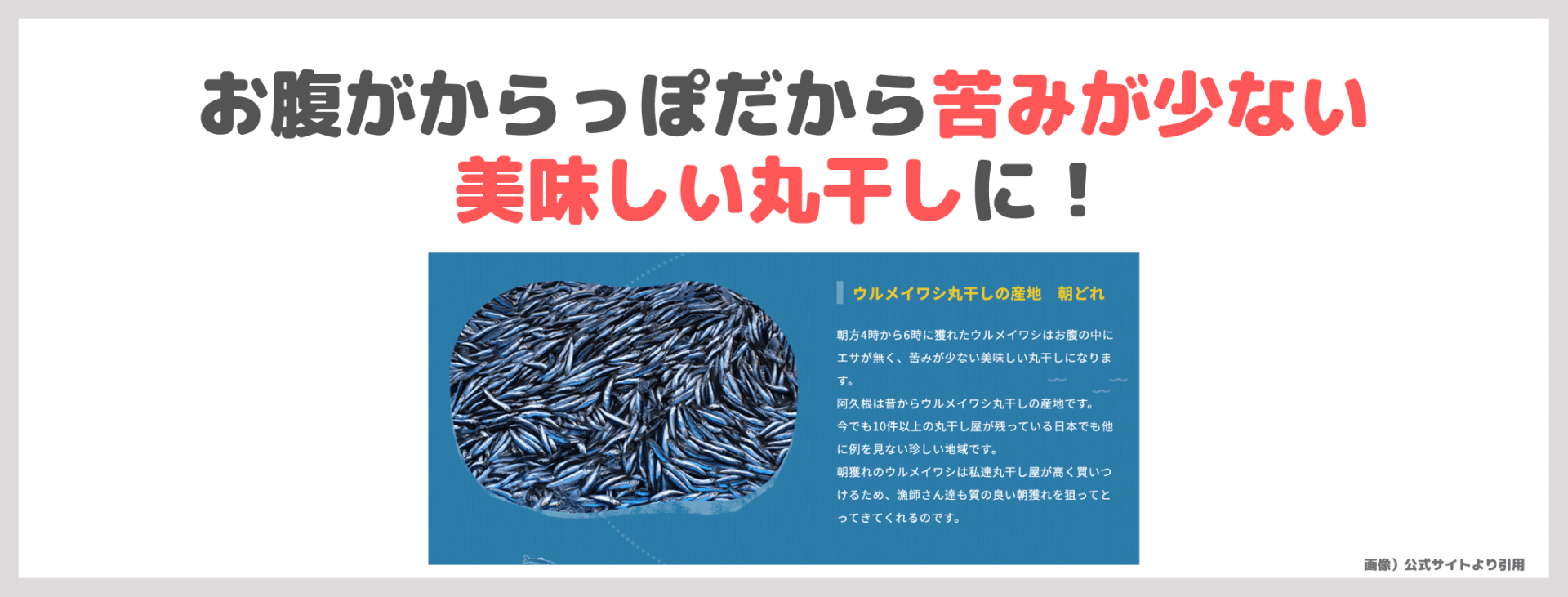 小田切ヒロさんがバッグの中身で紹介！「はらぺこいわし」レビュー｜おやつの口コミ・原材料・評判・感想・特徴など