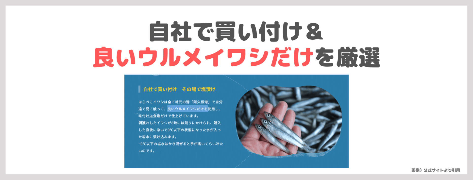 小田切ヒロさんがバッグの中身で紹介！「はらぺこいわし」レビュー｜おやつの口コミ・原材料・評判・感想・特徴など