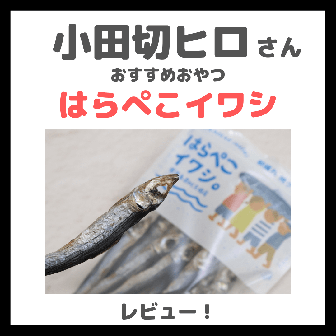小田切ヒロさんがバッグの中身で紹介！「はらぺこイワシ」レビュー｜おやつの口コミ・原材料・評判・感想・特徴など