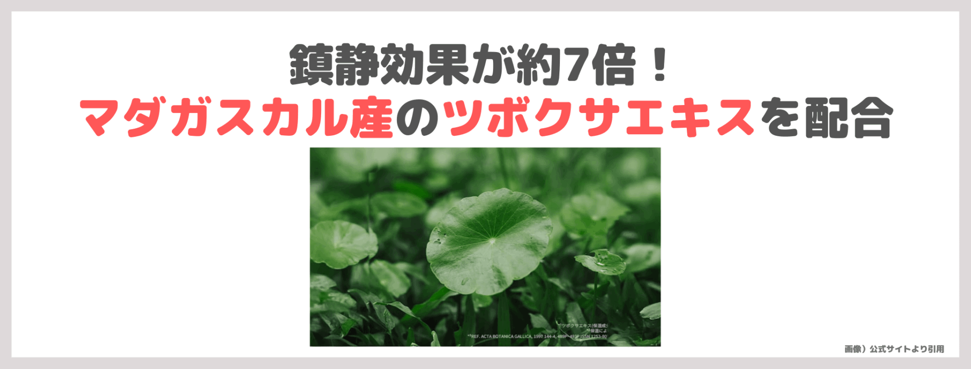 水越みさとさんおすすめ！「SKIN1004 センテラアンプル」使用レビュー！口コミ・効果・評判・感想・特徴など