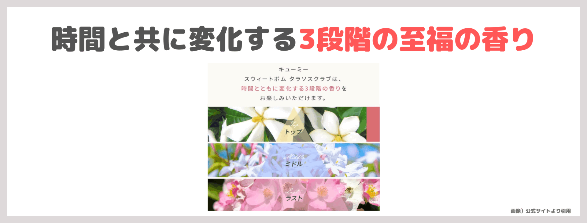 紗栄子さんおすすめ！AGARISM キューミースウィートボムタラソスクラブ 使用レビュー｜クーポン＆口コミ・効果・評判・感想・特徴など