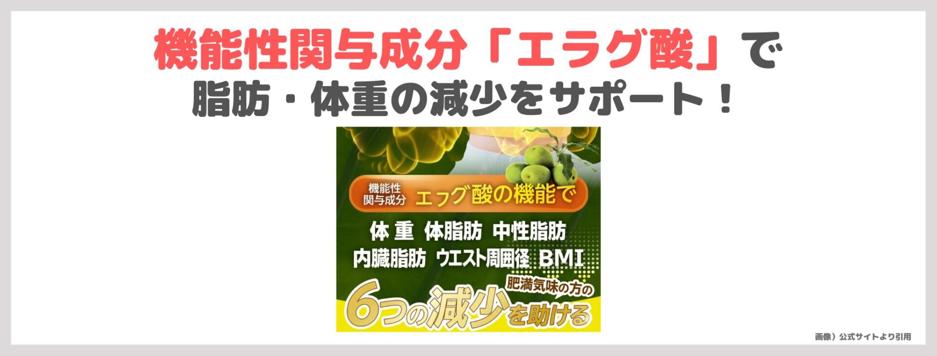 「ネイチャーシェイプ15600プラス」の特徴①｜機能性関与成分「エラグ酸」で脂肪・体重の減少をサポート！