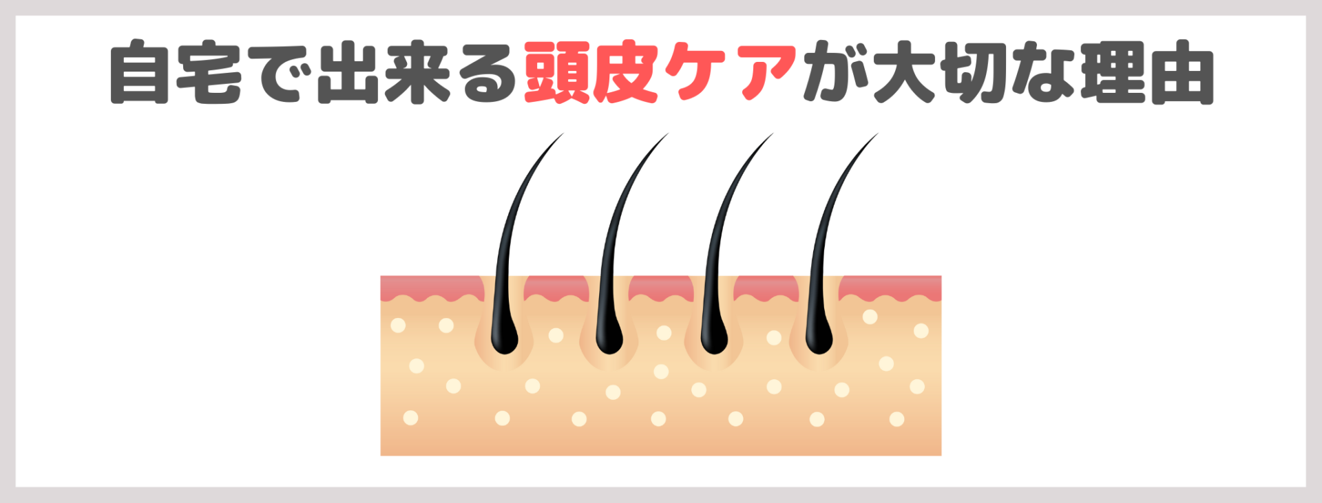 自宅で出来る頭皮ケアが大切な理由