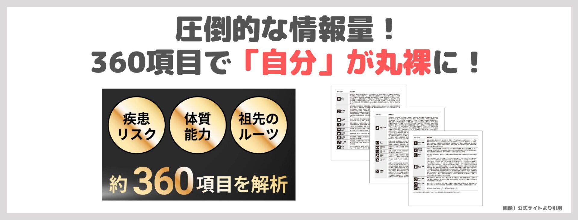 「総合遺伝子検査キット Genesis2.0 Plus」の特徴①|圧倒的な情報量!360項目で「自分」が丸裸に!