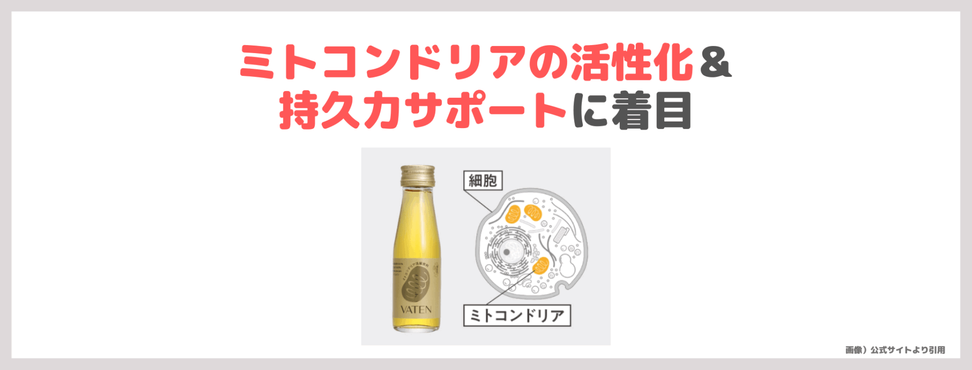 滝沢眞規子さん(タキマキ)おすすめ栄養ドリンク!VATEN(バテン)のレビュー&口コミ・特徴など〜バテンRとの違いは?〜