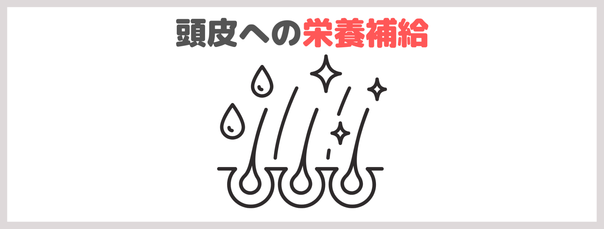 自宅で出来る頭皮ケアの基本|頭皮への栄養補給