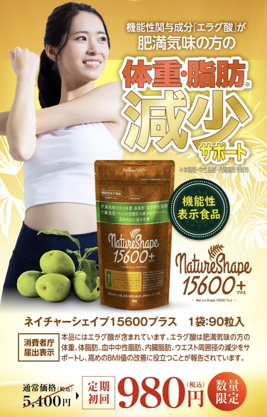 ネイチャーシェイプ15600プラスはどこで売っている?|最もお得に最安値で安く購入できるのは?