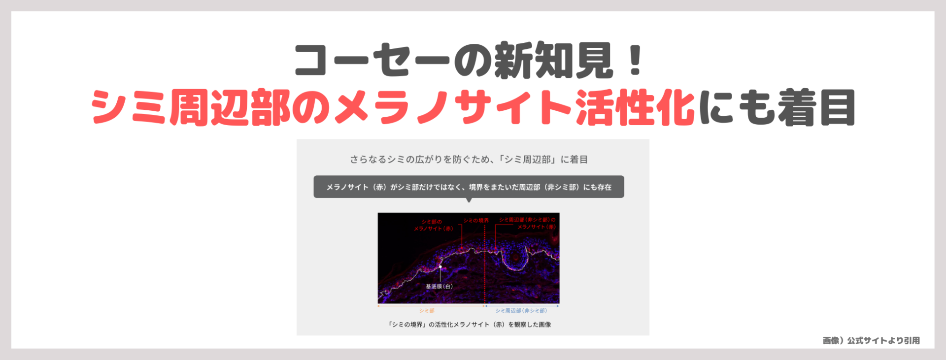 北川景子さん使用|ONE BY KOSE メラノショット P 使用レビュー!美白美容液の口コミ・効果・評判・感想・特徴など