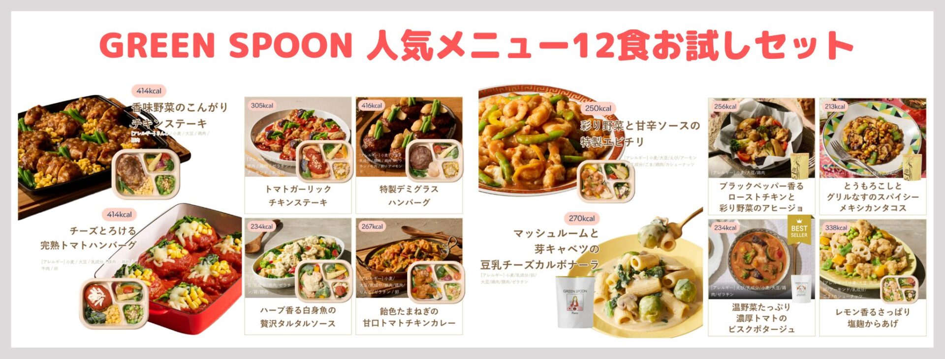 GREEN SPOON 人気メニュー12食お試しセット
