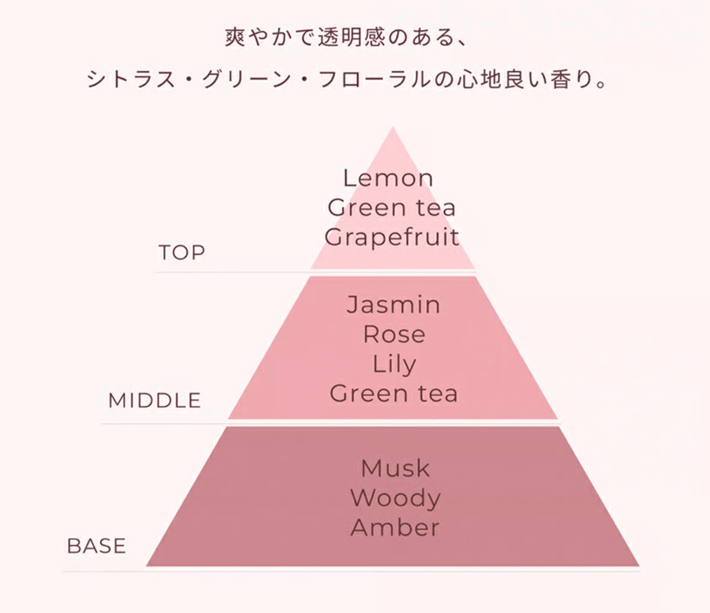 Mii+ ミープラス リペアブースター ホイップ 使用レビュー&口コミ|導入型泡セラムの効果・評判・感想・特徴など