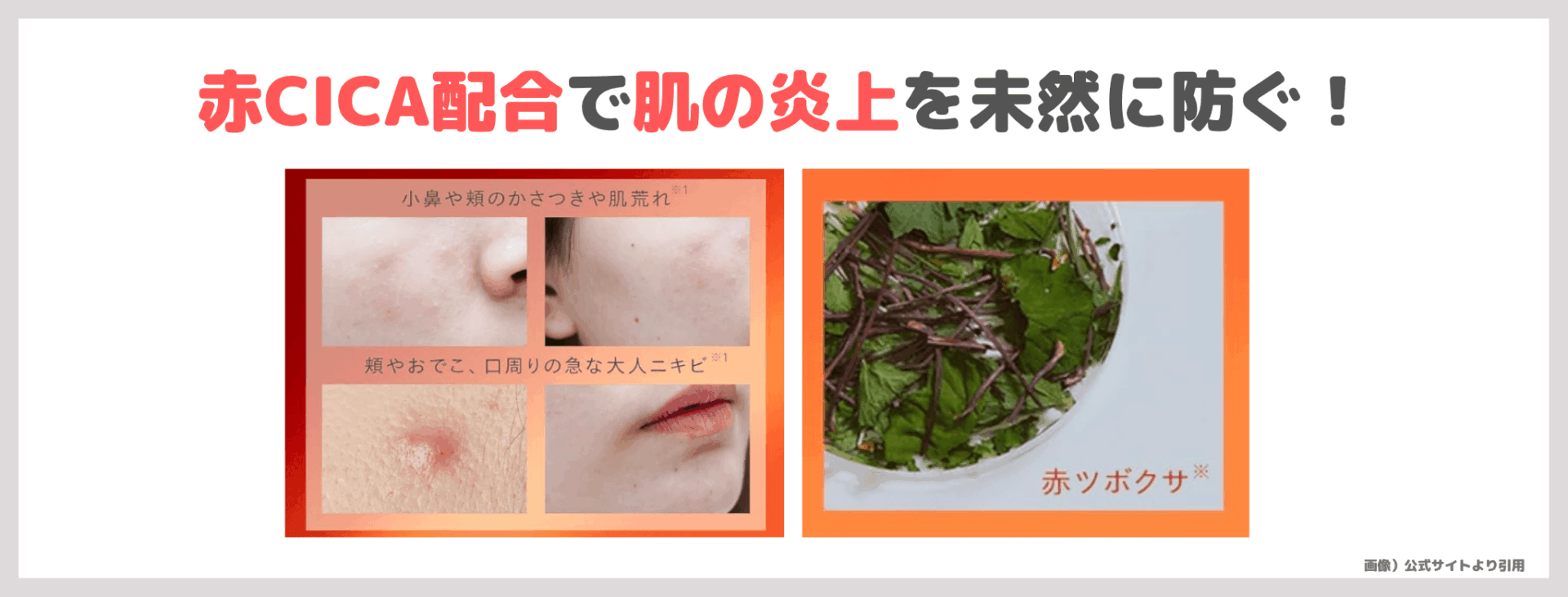 N organic Basic バランシング エッセンスミルク 乳液の使用レビュー&口コミ|効果・評判・感想・特徴など