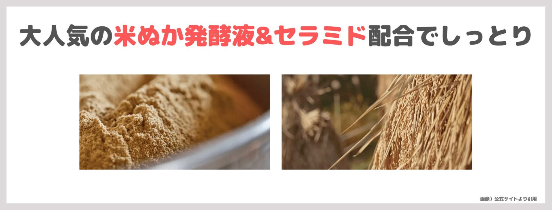 無印良品 発酵導入エッセンスパッド 使用レビュー!口コミ・効果・評判・感想・特徴など