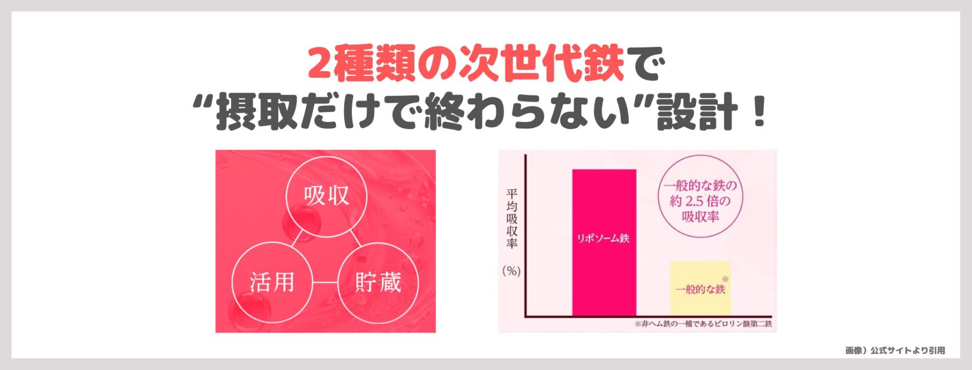 「LIPO³ Fe」の特徴①|2種類の次世代鉄で“摂取だけで終わらない”設計!