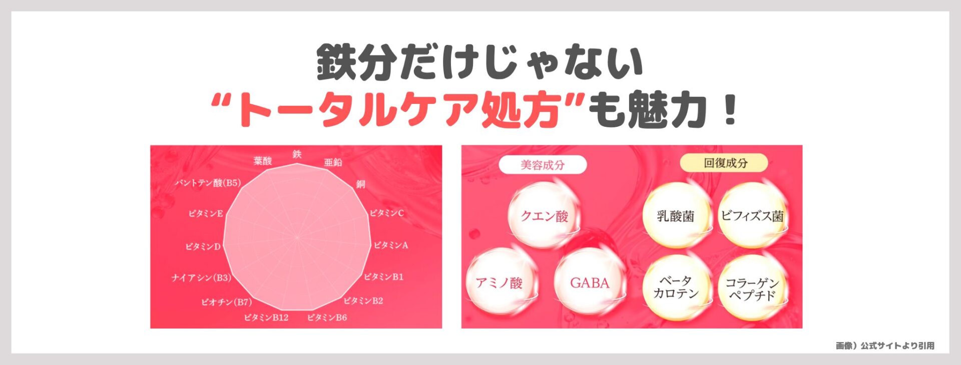 「LIPO³ Fe」の特徴②|鉄分だけじゃない“トータルケア処方”も魅力!