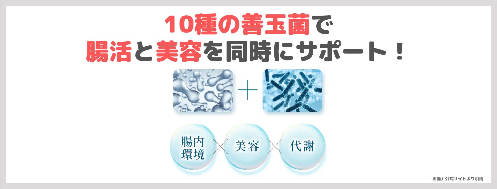 「#さよならグルテン」の特徴②|10種の善玉菌で腸活と美容を同時にサポート!