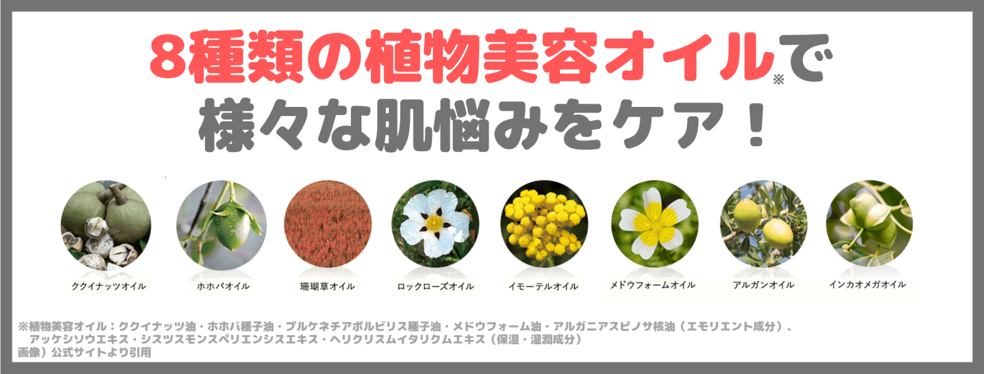 アテニア スキンクリア クレンズ オイルの特長②|8種類の植物美容オイル※で様々な肌悩みをケア!