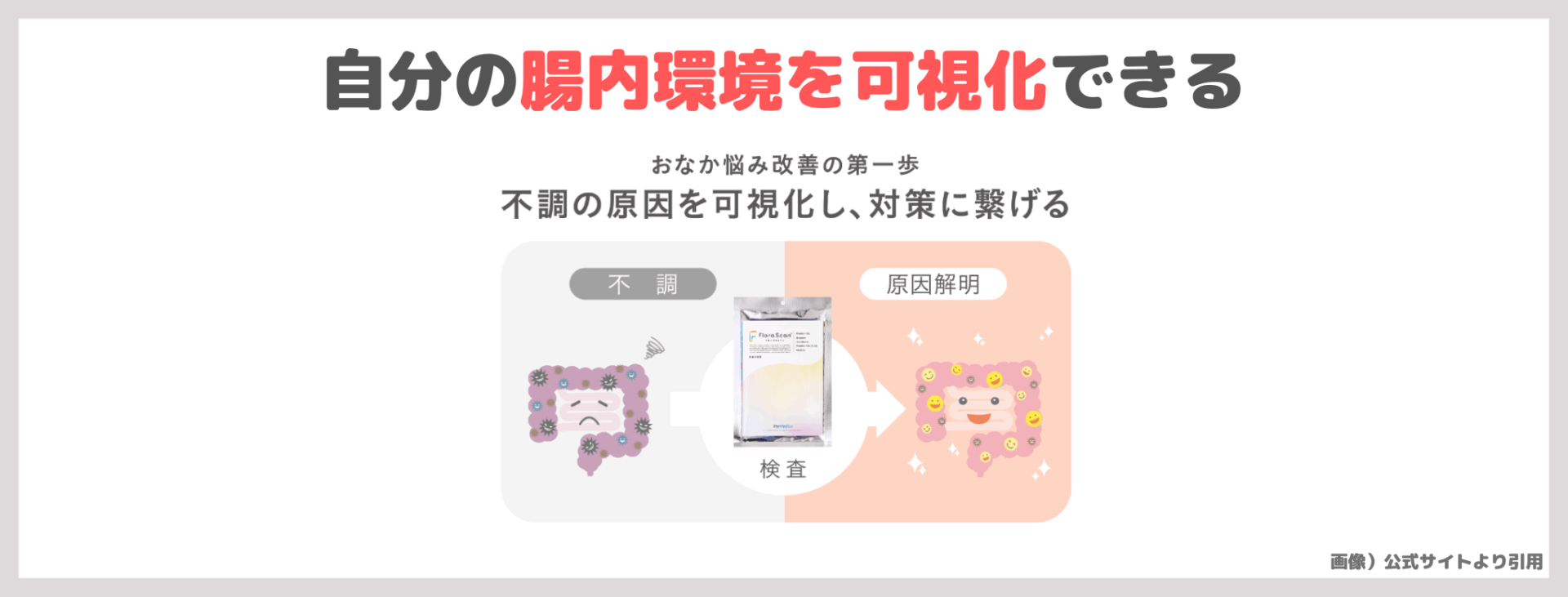 フローラスキャンを実際に受けてみたレビュー!分かること・方法・結果・口コミ・感想など