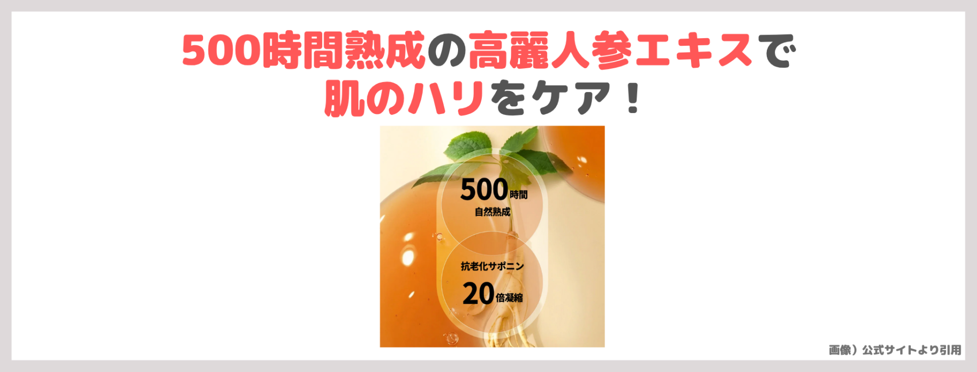 「Sulwhasoo 潤燥 ファーストケア アクティブセラムⅥ」の特徴①|500時間熟成の高麗人参エキスでハリをケア!