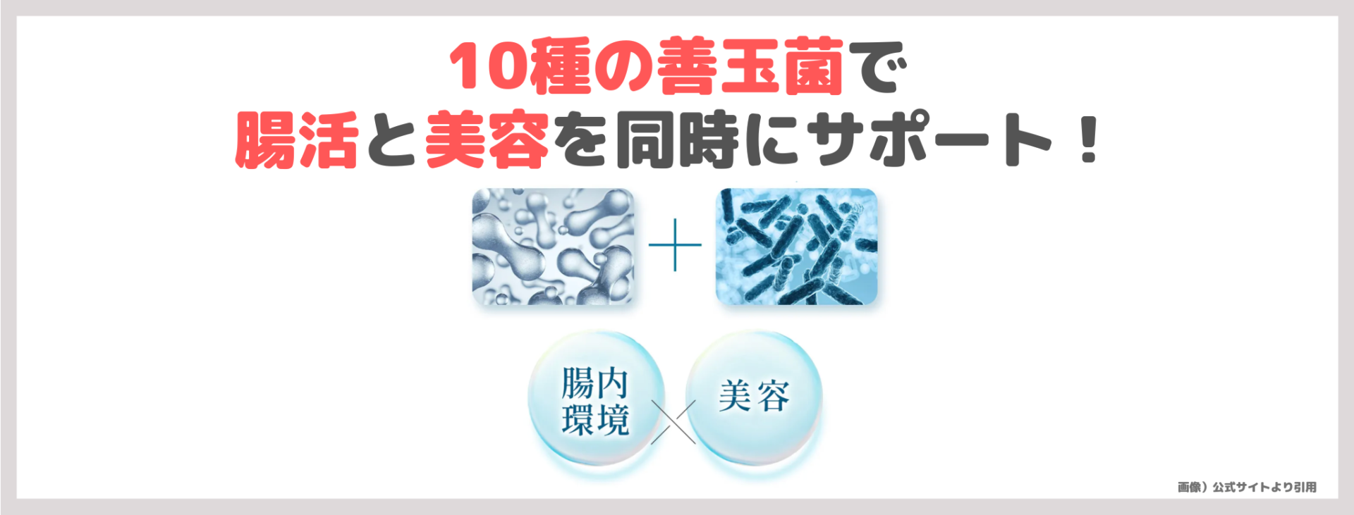 「#さよならグルテン」の特徴②|10種の善玉菌で腸活と美容を同時にサポート!