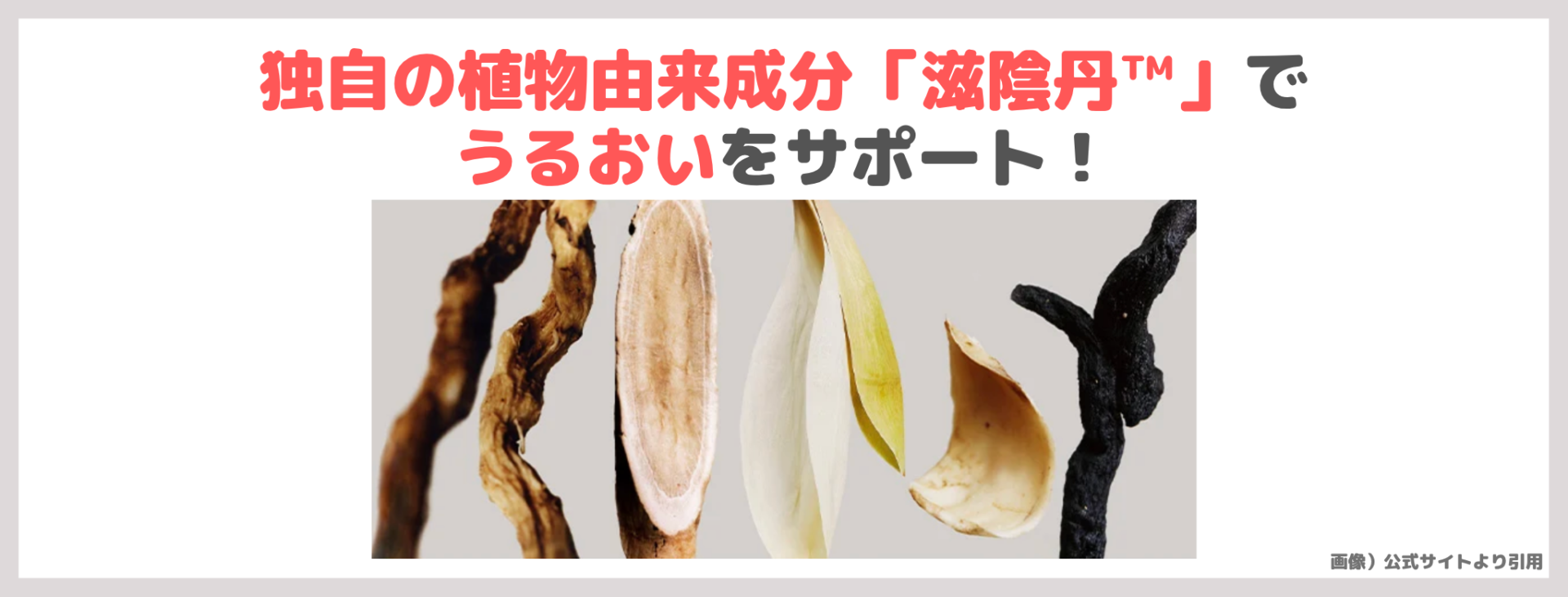 「Sulwhasoo 潤燥 ファーストケア アクティブセラムⅥ」の特徴②|独自の植物由来成分「滋陰丹™」でうるおいをサポート!