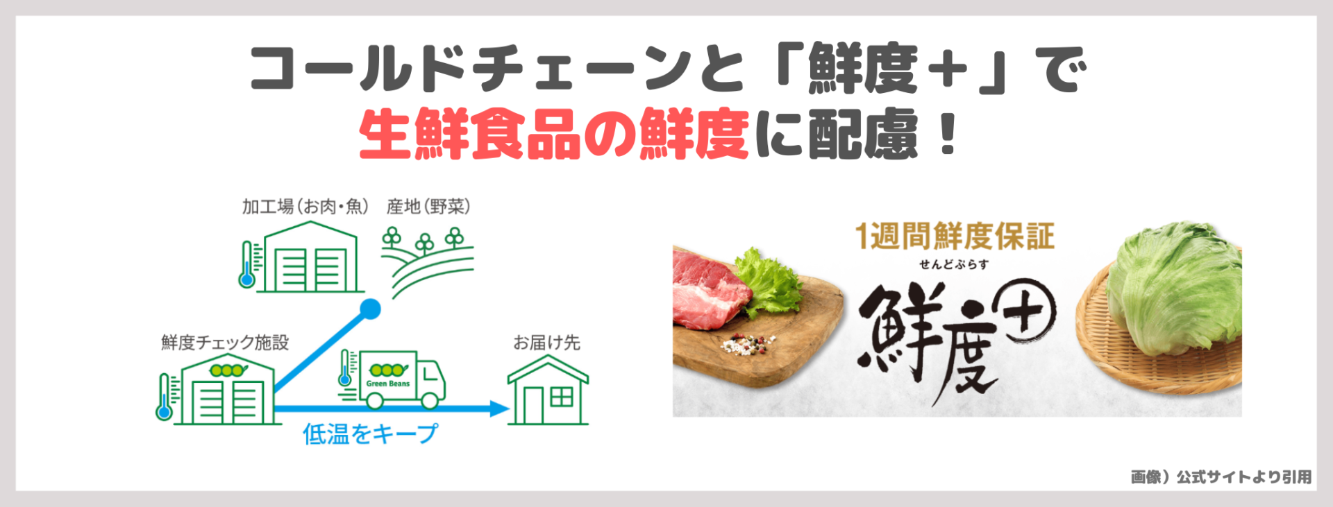 「グリーンビーンズ」の特徴②|コールドチェーンと「鮮度+」で生鮮食品の鮮度に配慮!
