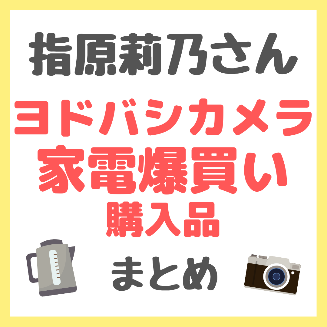 指原莉乃さん ヨドバシカメラで家電爆買い購入品 まとめ
